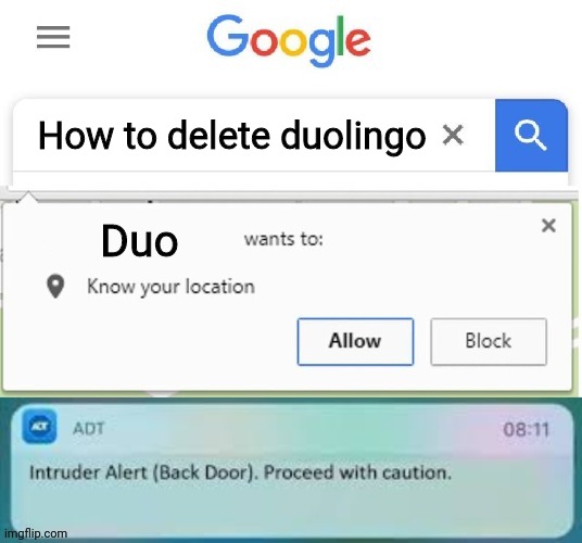 X Wants to know your location intruder alert | How to delete duolingo; Duo | image tagged in x wants to know your location intruder alert | made w/ Imgflip meme maker