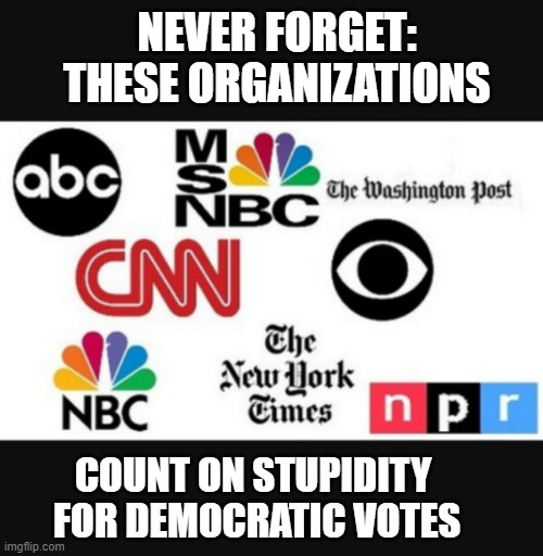 THEY need low information voters in order to stir controversy and to divide the country. | NEVER FORGET: THESE ORGANIZATIONS; COUNT ON STUPIDITY 
FOR DEMOCRATIC VOTES | image tagged in media lies,democrats,liberals,hypocrites,woke,stupidity | made w/ Imgflip meme maker