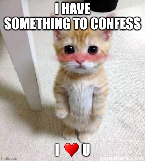 I Love u | I HAVE SOMETHING TO CONFESS; I         U | image tagged in memes,cute cat | made w/ Imgflip meme maker
