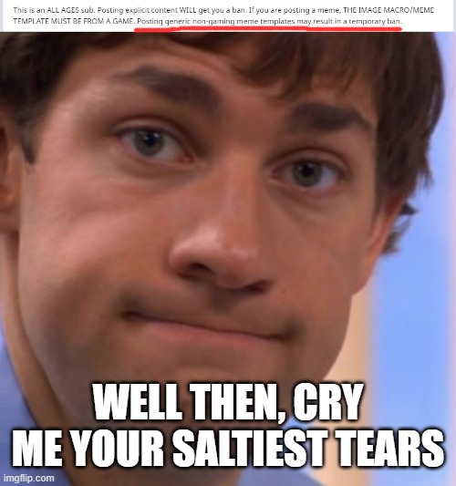Thats the dumbest rule I have ever seen anywhere | WELL THEN, CRY ME YOUR SALTIEST TEARS | image tagged in welp jim face | made w/ Imgflip meme maker