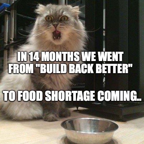 empty food bowl | IN 14 MONTHS WE WENT FROM "BUILD BACK BETTER"; TO FOOD SHORTAGE COMING.. | image tagged in empty food bowl | made w/ Imgflip meme maker