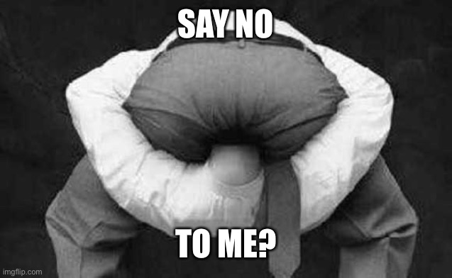 SAY NO TO ME? | image tagged in head up ass | made w/ Imgflip meme maker