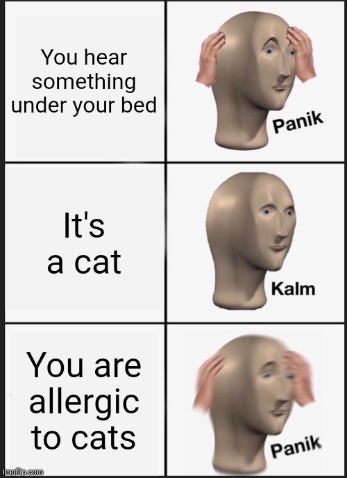 Cat Cat Cat | You hear something under your bed; It's a cat; You are allergic to cats | image tagged in memes,panik kalm panik | made w/ Imgflip meme maker