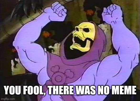 You Fool Skeletor | YOU FOOL, THERE WAS NO MEME | image tagged in you fool skeletor | made w/ Imgflip meme maker