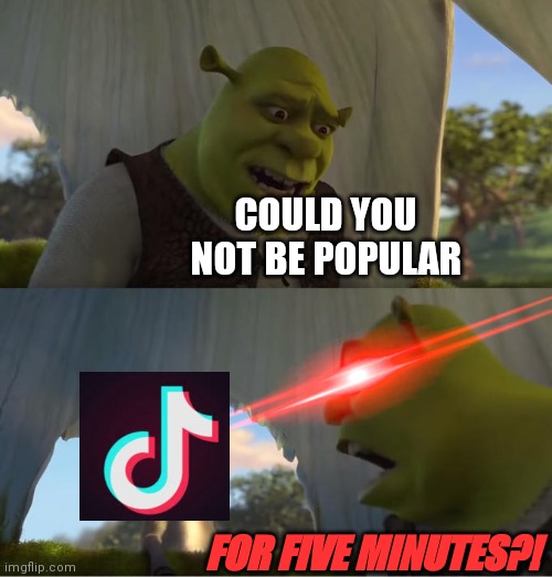 That's what tiktok needs to be | COULD YOU NOT BE POPULAR; FOR FIVE MINUTES?! | image tagged in shrek for five minutes | made w/ Imgflip meme maker