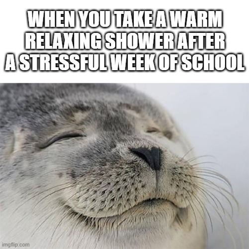 just a little bit of wholesomeness |  WHEN YOU TAKE A WARM RELAXING SHOWER AFTER A STRESSFUL WEEK OF SCHOOL | image tagged in memes,satisfied seal,wholesome,shower,school,stress | made w/ Imgflip meme maker