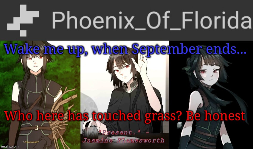 You know I have | Wake me up, when September ends... Who here has touched grass? Be honest | image tagged in phoenix's jasmine templet | made w/ Imgflip meme maker