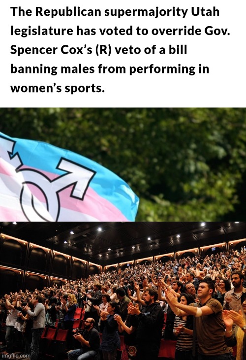 image tagged in funny memes | made w/ Imgflip meme maker