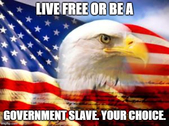 American Flag | LIVE FREE OR BE A; GOVERNMENT SLAVE. YOUR CHOICE. | image tagged in american flag | made w/ Imgflip meme maker