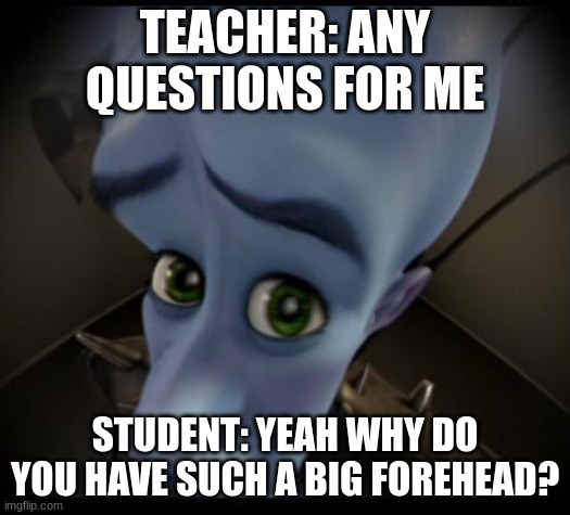 dońt ask questions | TEACHER: ANY QUESTIONS FOR ME; STUDENT: YEAH WHY DO YOU HAVE SUCH A BIG FOREHEAD? | image tagged in no bitches | made w/ Imgflip meme maker