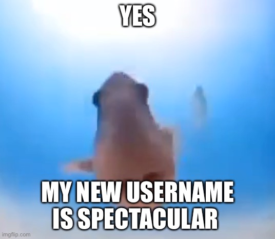 Fish | YES; MY NEW USERNAME IS SPECTACULAR | image tagged in fish | made w/ Imgflip meme maker