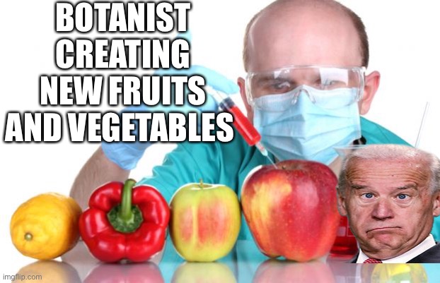 gmo fruits vegetables | BOTANIST CREATING NEW FRUITS AND VEGETABLES | image tagged in gmo fruits vegetables,joe biden | made w/ Imgflip meme maker