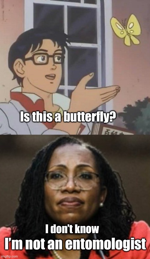 Is this a butterfly? I don’t know; I’m not an entomologist | image tagged in memes,is this a pigeon,politics lol | made w/ Imgflip meme maker