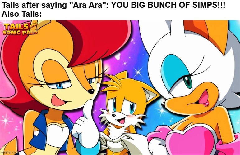 He basically made all the other girls he knew say it for him |  Tails after saying "Ara Ara": YOU BIG BUNCH OF SIMPS!!!
Also Tails: | image tagged in simp,tails the fox,double standards,memes,tails you are 8 why do you need to act like a chad,oh god why | made w/ Imgflip meme maker