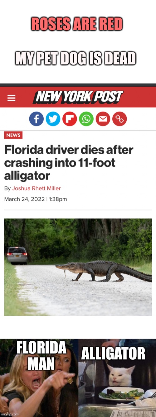 Rest in Peace Florida Driver | ROSES ARE RED; MY PET DOG IS DEAD; ALLIGATOR; FLORIDA MAN | image tagged in memes,woman yelling at cat | made w/ Imgflip meme maker