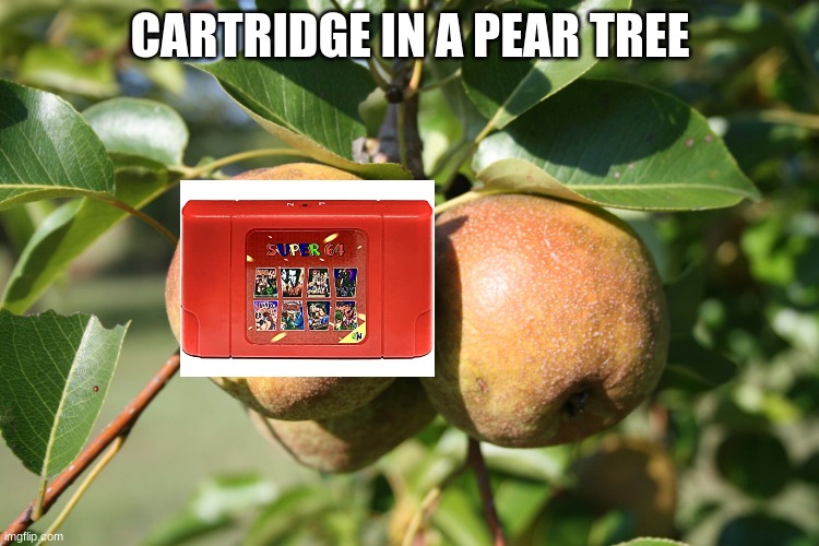 how did it get up there | CARTRIDGE IN A PEAR TREE | image tagged in pear tree,gaming | made w/ Imgflip meme maker