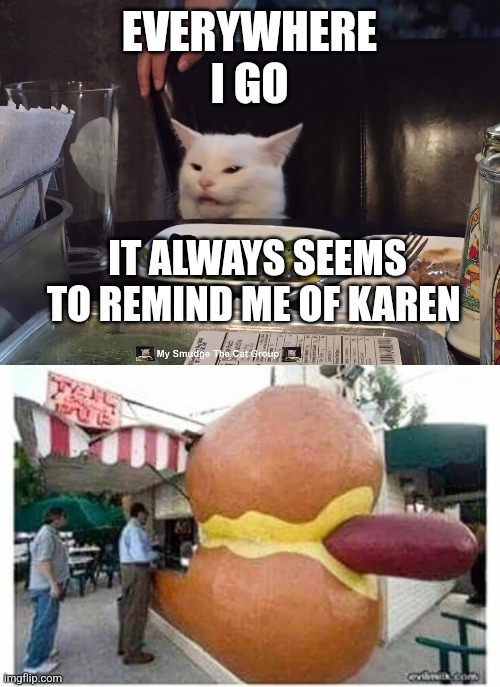 EVERYWHERE I GO; IT ALWAYS SEEMS TO REMIND ME OF KAREN | image tagged in smudge the cat | made w/ Imgflip meme maker
