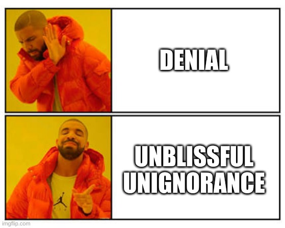 y e s | DENIAL; UNBLISSFUL UNIGNORANCE | image tagged in no - yes | made w/ Imgflip meme maker