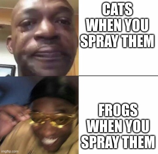 Sad then happy | CATS WHEN YOU SPRAY THEM; FROGS WHEN YOU SPRAY THEM | image tagged in sad then happy,cats,frogs | made w/ Imgflip meme maker