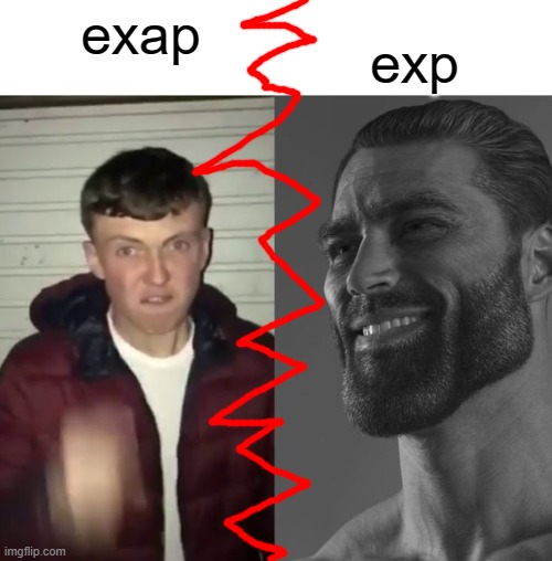 exp | exp; exap | image tagged in minecraft memes | made w/ Imgflip meme maker