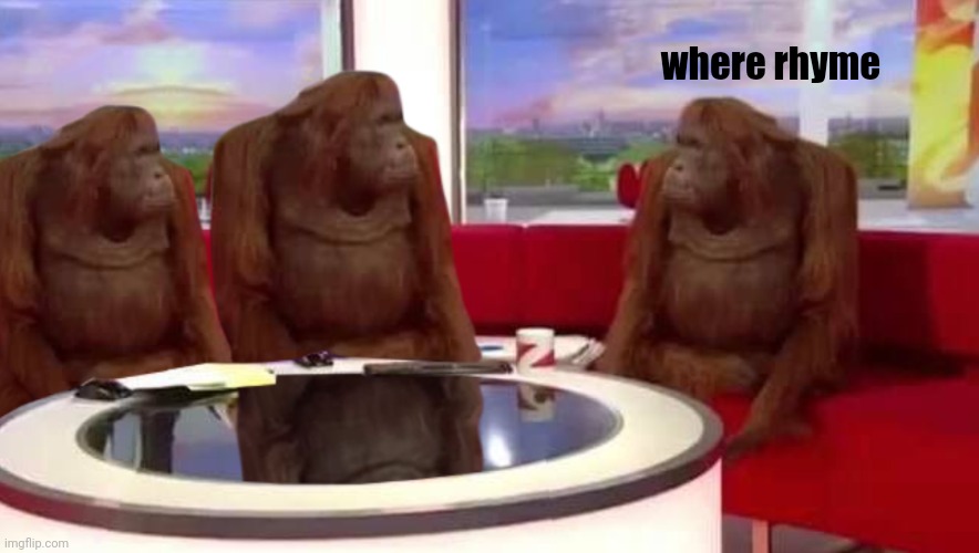 where monkey | where rhyme | image tagged in where monkey | made w/ Imgflip meme maker