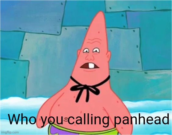 Who You Callin' Pinhead? | Who you calling panhead | image tagged in who you callin' pinhead | made w/ Imgflip meme maker