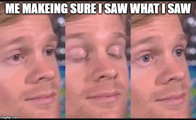 yes you | ME MAKEING SURE I SAW WHAT I SAW | image tagged in blinking guy | made w/ Imgflip meme maker