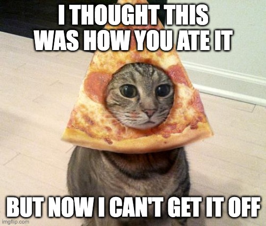 help | I THOUGHT THIS WAS HOW YOU ATE IT; BUT NOW I CAN'T GET IT OFF | image tagged in pizza cat,funny,meme | made w/ Imgflip meme maker