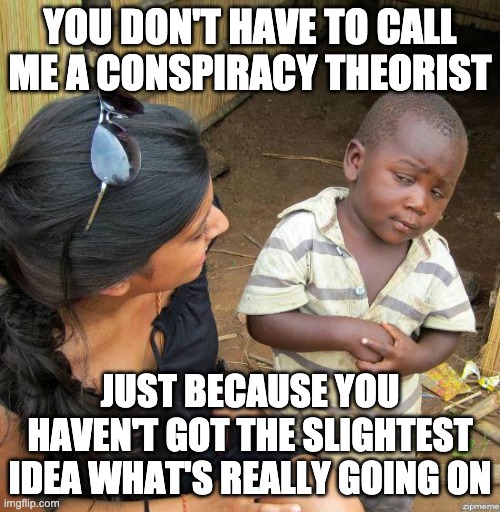 the slightest idea | YOU DON'T HAVE TO CALL ME A CONSPIRACY THEORIST; JUST BECAUSE YOU HAVEN'T GOT THE SLIGHTEST IDEA WHAT'S REALLY GOING ON | image tagged in black kid,conspiracy,reality denier | made w/ Imgflip meme maker