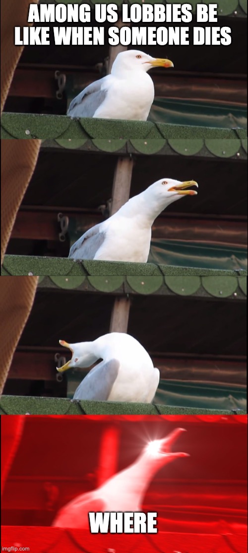 Inhaling Seagull | AMONG US LOBBIES BE LIKE WHEN SOMEONE DIES; WHERE | image tagged in memes,inhaling seagull | made w/ Imgflip meme maker