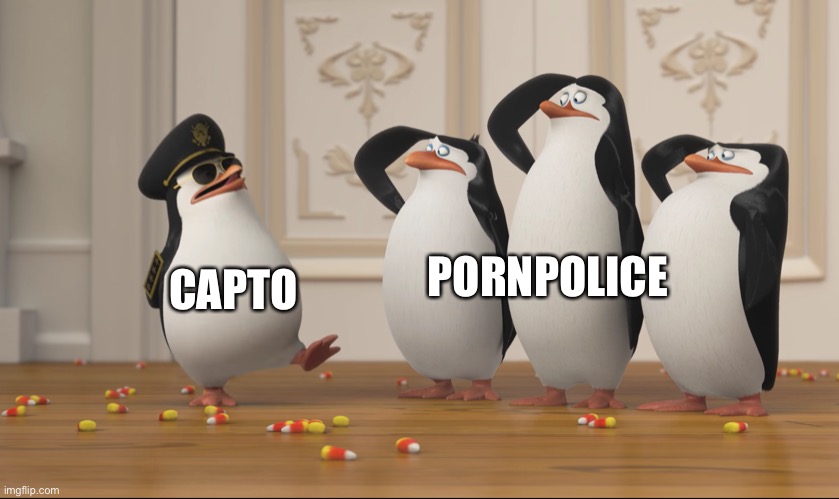 Saluting skipper | CAPTO PORNPOLICE | image tagged in saluting skipper | made w/ Imgflip meme maker