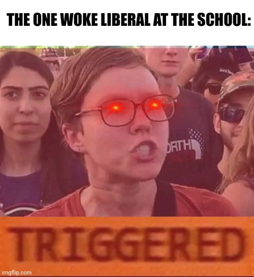 THE ONE WOKE LIBERAL AT THE SCHOOL: | image tagged in memes,blank transparent square,triggered liberal,roblox triggered | made w/ Imgflip meme maker