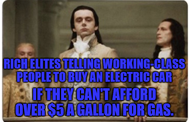Buy a Tesla Peasant | RICH ELITES TELLING WORKING-CLASS PEOPLE TO BUY AN ELECTRIC CAR; IF THEY CAN'T AFFORD OVER $5 A GALLON FOR GAS. | image tagged in superior royalty | made w/ Imgflip meme maker