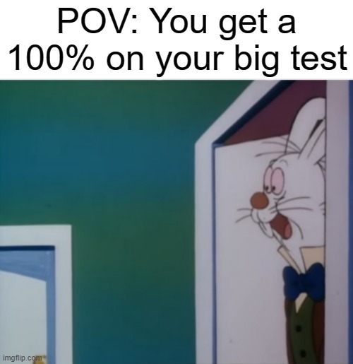 Thats great whenever that happens | POV: You get a 100% on your big test | image tagged in white rabbit hype | made w/ Imgflip meme maker