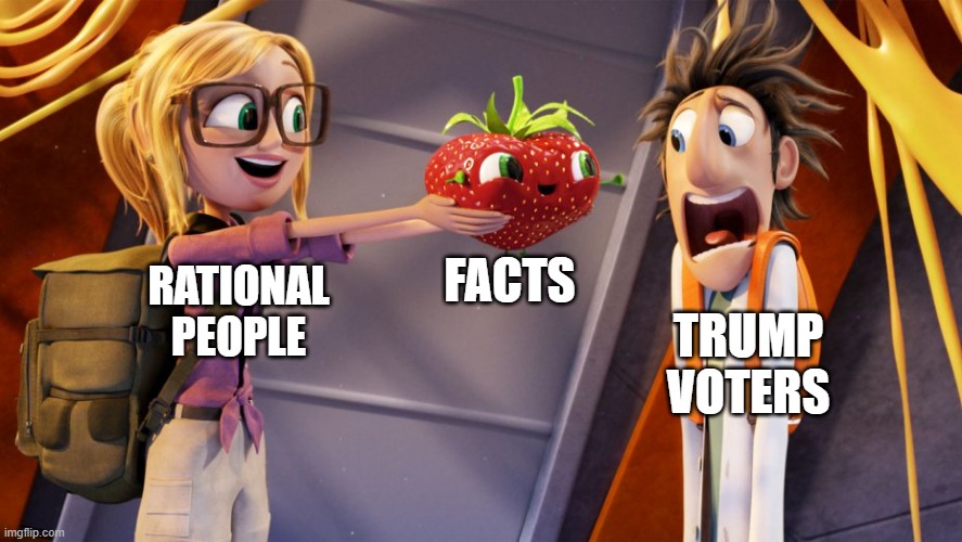 Cloudy with a chance of meatballs | FACTS; RATIONAL PEOPLE; TRUMP VOTERS | image tagged in cloudy with a chance of meatballs | made w/ Imgflip meme maker