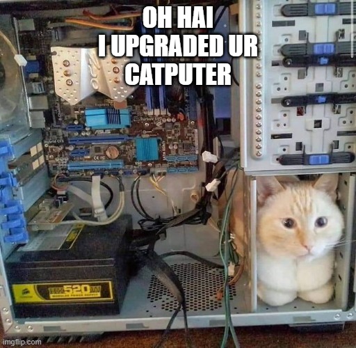 Oh Hai I Upgraded Your Catputer | OH HAI
I UPGRADED UR
CATPUTER | image tagged in computer,cats,cats and computers,cats with jobs | made w/ Imgflip meme maker