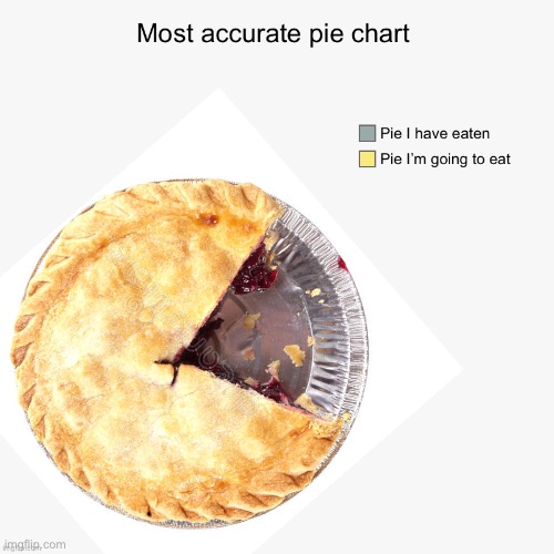 Most accurate pie chart | image tagged in pie charts | made w/ Imgflip meme maker