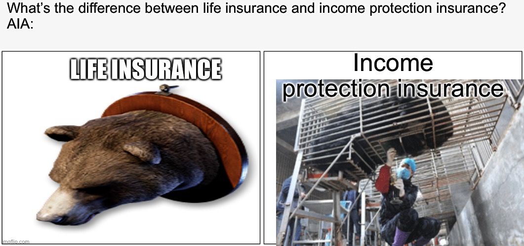 AIA scumbag insurance | What’s the difference between life insurance and income protection insurance?
AIA:; LIFE INSURANCE; Income protection insurance | image tagged in memes,blank comic panel 2x1,bear,confession bear,life insurance,aia | made w/ Imgflip meme maker