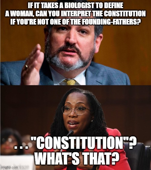 Ted Cruze vs doofus Ketanji Brown Jackson | IF IT TAKES A BIOLOGIST TO DEFINE A WOMAN, CAN YOU INTERPRET THE CONSTITUTION IF YOU'RE NOT ONE OF THE FOUNDING-FATHERS? . . . "CONSTITUTION"?  WHAT'S THAT? | image tagged in ted cruze vs doofus ketanji brown jackson | made w/ Imgflip meme maker
