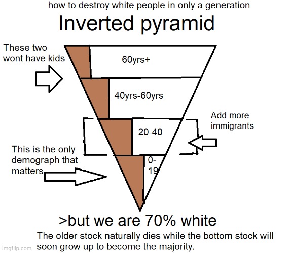 Someone made an entire diagram on how to get rid of white ppl twitter is gonna love this | made w/ Imgflip meme maker