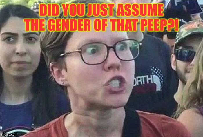 Triggered Liberal | DID YOU JUST ASSUME THE GENDER OF THAT PEEP?! | image tagged in triggered liberal | made w/ Imgflip meme maker