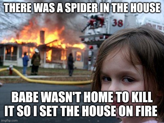 Spider | THERE WAS A SPIDER IN THE HOUSE; BABE WASN'T HOME TO KILL IT SO I SET THE HOUSE ON FIRE | image tagged in memes,disaster girl,funny memes | made w/ Imgflip meme maker