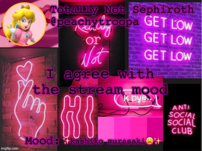 Princess Peach Aesthetic Mood Temp (thx Lily) | I agree with the stream mood; ✨kashiko murasaki😩✨ | image tagged in princess peach aesthetic mood temp thx lily | made w/ Imgflip meme maker
