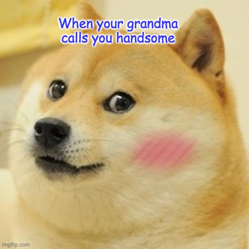 Doge | When your grandma calls you handsome | image tagged in memes,doge | made w/ Imgflip meme maker