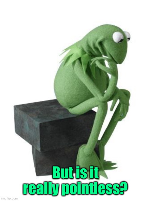 Philosophy Kermit | But is it really pointless? | image tagged in philosophy kermit | made w/ Imgflip meme maker