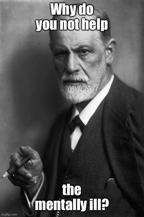 Sigmund Freud Meme | Why do you not help the mentally ill? | image tagged in memes,sigmund freud | made w/ Imgflip meme maker