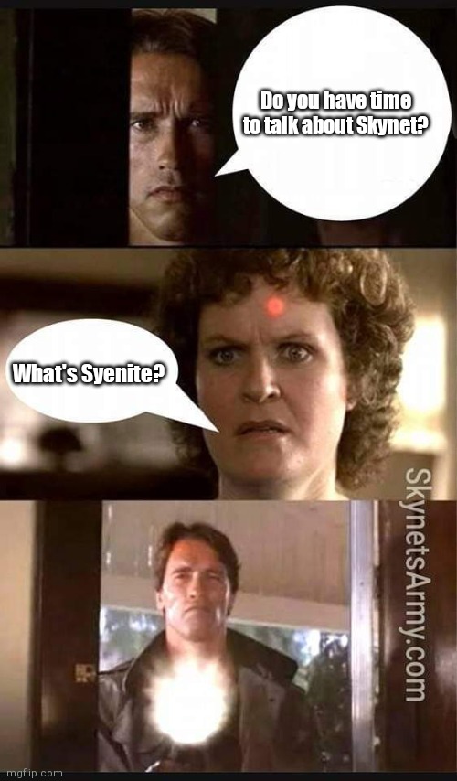 The Terminator meme | Do you have time to talk about Skynet? What's Syenite? | image tagged in the terminator | made w/ Imgflip meme maker