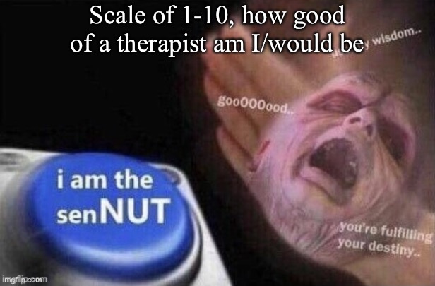 I’m a great listener but terrible memory | Scale of 1-10, how good of a therapist am I/would be | image tagged in sennut s wisdom | made w/ Imgflip meme maker