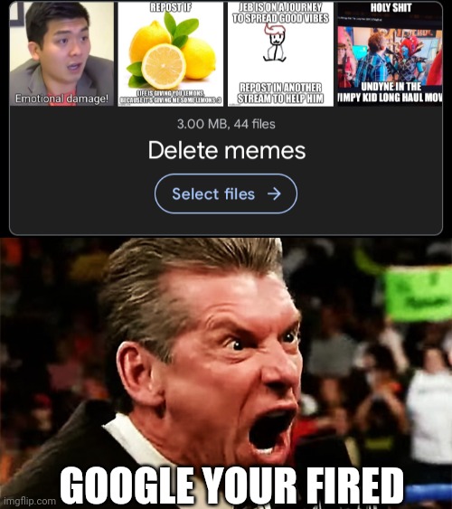 I know, it's a low amount of memes, but still | GOOGLE YOUR FIRED | image tagged in vince mcmahon - you're fired | made w/ Imgflip meme maker