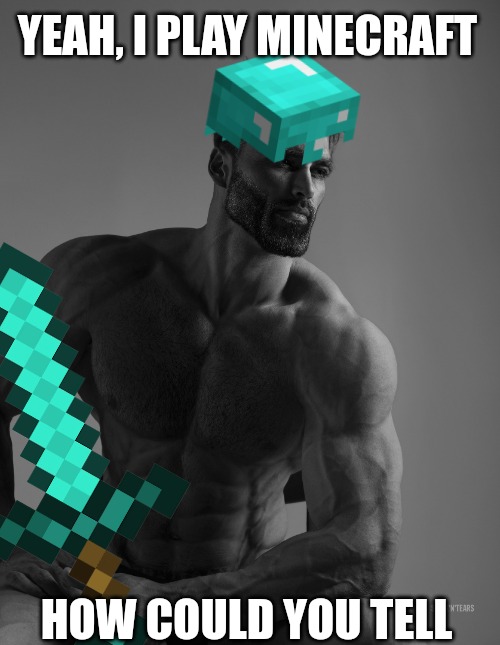 YEAH, I PLAY MINECRAFT; HOW COULD YOU TELL | image tagged in memes | made w/ Imgflip meme maker